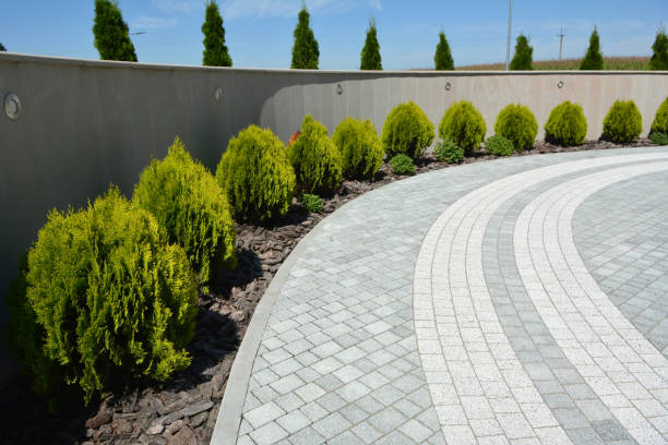 Best Cobblestone Driveway Pavers  in Joliet, IL